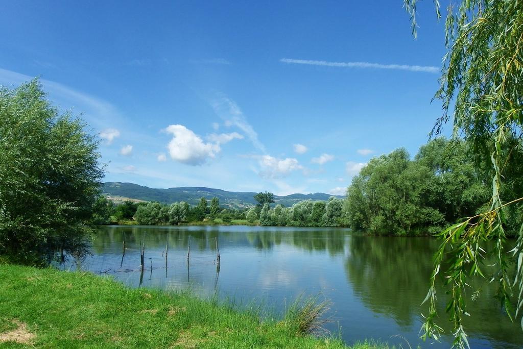 Domaine D'Aromm - Chambres D'Hotes & Gites - Piscine, Etangs & Animaux - Au Calme Ouches Exterior photo