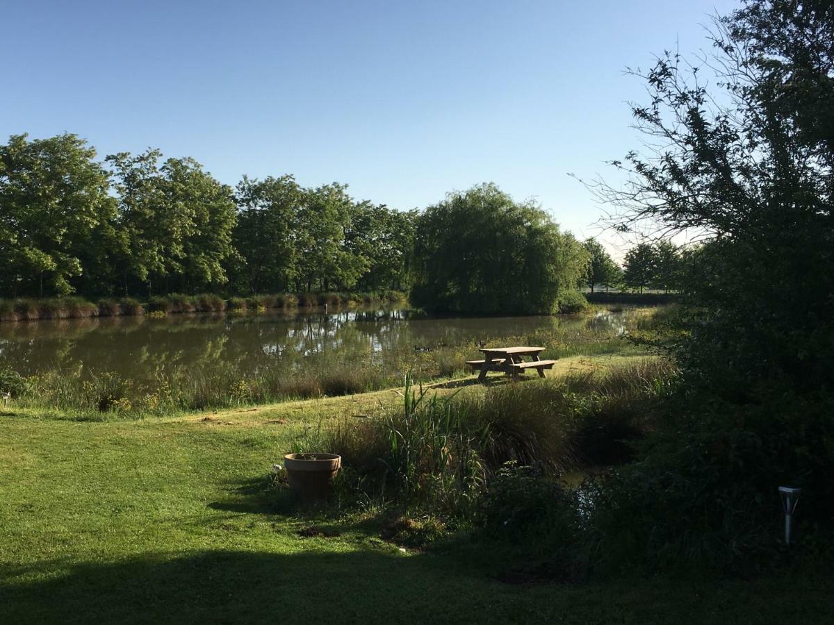Domaine D'Aromm - Chambres D'Hotes & Gites - Piscine, Etangs & Animaux - Au Calme Ouches Exterior photo